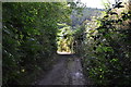 North Devon : Hittsford Lane in EX36 4RY