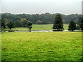 Kedleston Park, View Towards Northern End of Lake in Kedleston