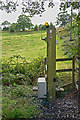 Radio controlled fence post! in SK10 4AY