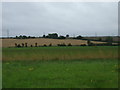 Fields, Creeting St.Mary in IP6 8NG