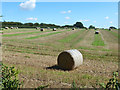 Field with straw bales in LU6 2ND