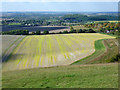 View from Dunstable Downs in LU6 2JP