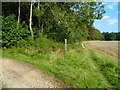 Path along field by woodland in BN13 3UL