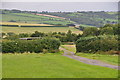 North Devon : Countryside Scenery in EX36 4QL