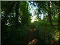 Footpath from Swillage Lane approaches end of woodland in BN13 3UL