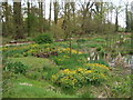 Bog garden at Coughton Court in B49 5HL