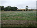 Stubble field west of Norwich Road (A140) in Mid Suffolk District