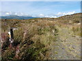 Glyndwr's Way near Llyn Glanmerin in SY20 8TZ