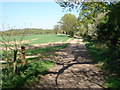 Track to New End Farm in B49 6JD