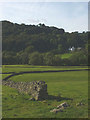 Pastures and walls by Chapel Lane, Underbarrow in LA8 8HQ