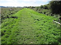 Footpath on west bank of River Arun in BN18 9PB