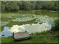 Fishing pond in Colliery Plantation in WN8 8BQ