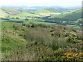 Glyndwr's Way near Eithin llwyn in SY21 0JJ