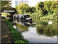 Jenny, narrowboat on Paddington Branch canal, with swans in UB5 6SR