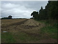 Stubble and hedgerow, Audley End in IP22 5RP
