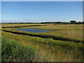Pool on Deepdale Marsh in Burnham Norton