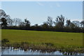 Field by the Chichester Canal in PO20 7BA