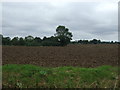 Farmland, Mill Green in IP22 5TG