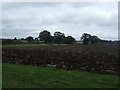 Field north of Heywood Road in Bressingham & Burston Ward