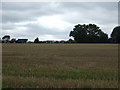 Stubble field south of Shelfanger in Shelfanger