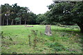 Trig point at the top of Hurst Hill in OX2 9JA