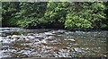 River Tame in Haughton Dale in SK6 1RY