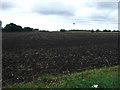 Field east of Saxmundham in IP17 1EU