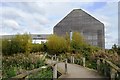 Welney Wetland Centre in CB6 1UG