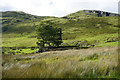 Ruined structure in Nant Ffrancon in LL57 3DQ