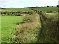 Path west of Hallgate Farm in Pilsley