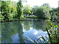 The lake in Pymmes Park in N18 2UG