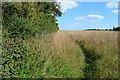 Footpath north of Grateley in SP11 8LP