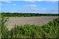 Ploughed field beside the A338 in SN8 3RX
