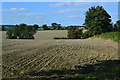 Bare fields above Wootton Rivers in SN8 4NJ
