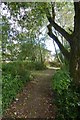 Path between James College and the Lake in Fishergate Ward