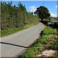 Road out of Brockhampton in HR1 4TQ