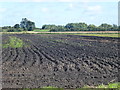 Peat fenland south of Upware in CB7 5YQ