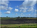 Peat farmland near Wicken Fen in CB7 5YQ