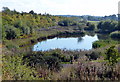 Small lake next to the M6 Toll Motorway in B76 9PL