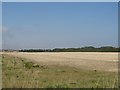 Arable land on the edge of Amble in NE65 0GB