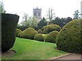 Elvaston Castle topiary in DE72 3WA