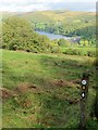 Glyndwr's Way near Lake Vyrnwy in SY10 0NB