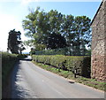 Hedge at the edge of a tennis court, Old Gore, Herefordshire in HR9 7QS