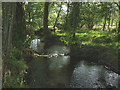 The River Gilpin below Foxhole Bank in LA8 8JA
