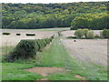 Track to Kingston Wood from Icknield Way in OX39 4SH