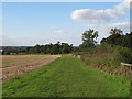 Footpath on arable field margin, near Goat Hall, Chelmsford in Goat Hall Ward