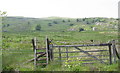 Stile and gate leading from the forest on to Ffridd Bryn Bedwog in LL23 7ET