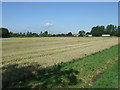 Stubble field off Finningham Road (B1113) in IP22 1LQ