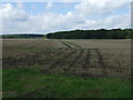 Stubble field towards Burgate Wood in IP22 1QQ