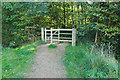 Footpath Gate, Easthampstead in RG12 8BX